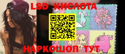 стаф Будённовск