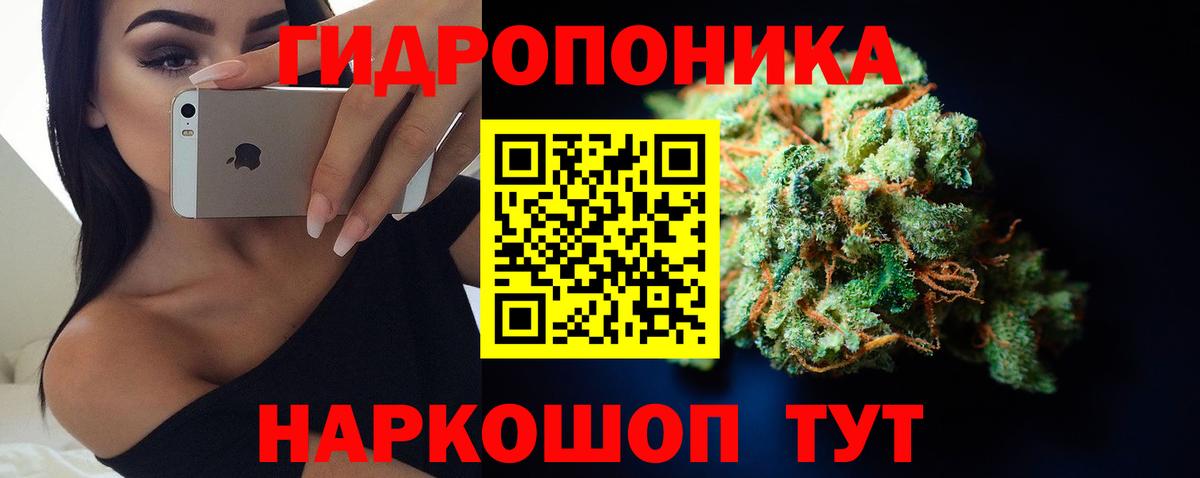 Бошки марихуана White Widow Медногорск